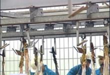 Sheep-aereal-conveyor