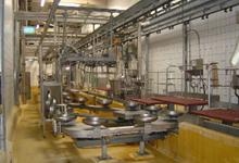 white-offal-conveyor
