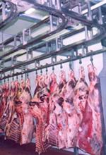 STAINLESS-STEEL-COOLING-ROOM