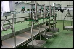 bandejas-de-visceras white-offal-conveyor