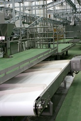 cinta-visceras-blancas white-offal-conveyor