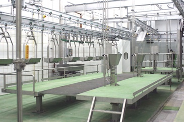 pig-slaughterhouse-platform