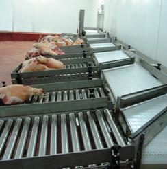 ham-clasification