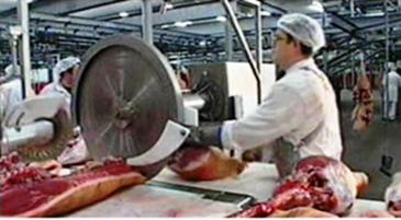 automatic-cutting