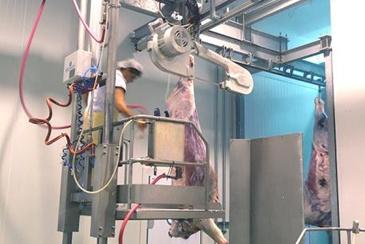 pneumatic-platform