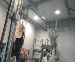 cattle-transfer-platform