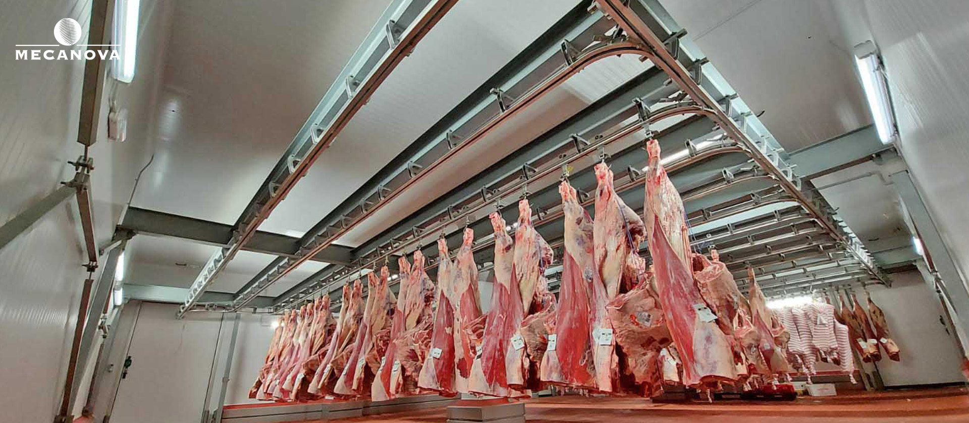 Efficiency in slaughterhouses. How will it be increased in 2023? MECANOVA